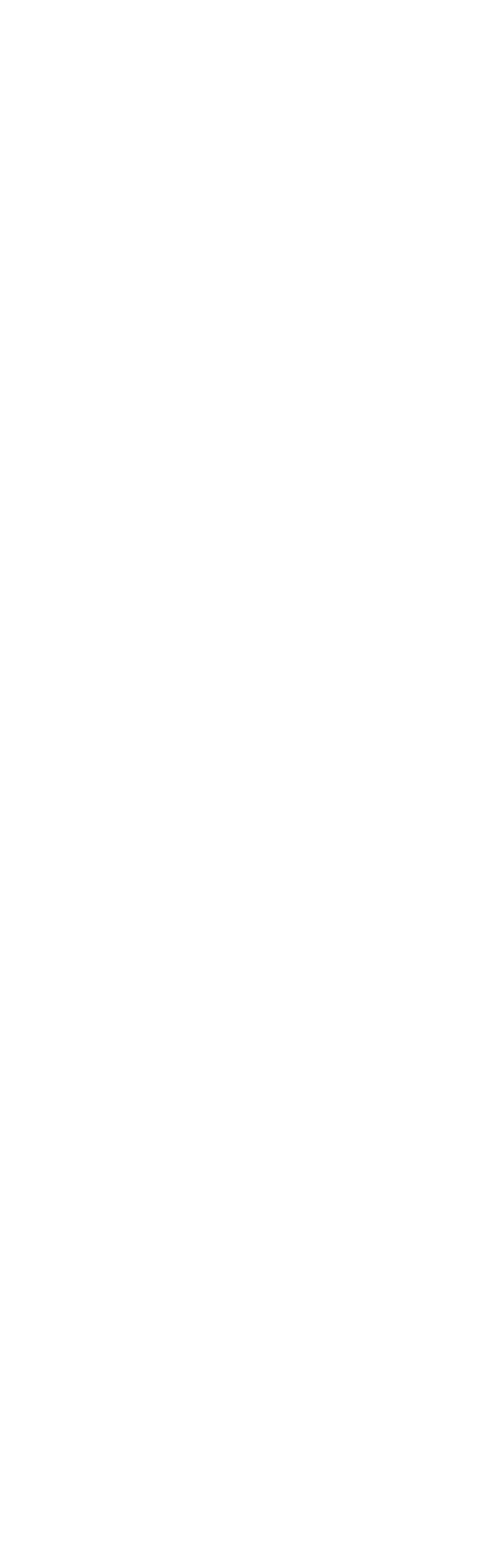 Mtra. Lizbeth Garc a Rinc n Directora Institucional de Empleabilidad y Relaci n con Egresados Lic. Guadalupe Monroy R...