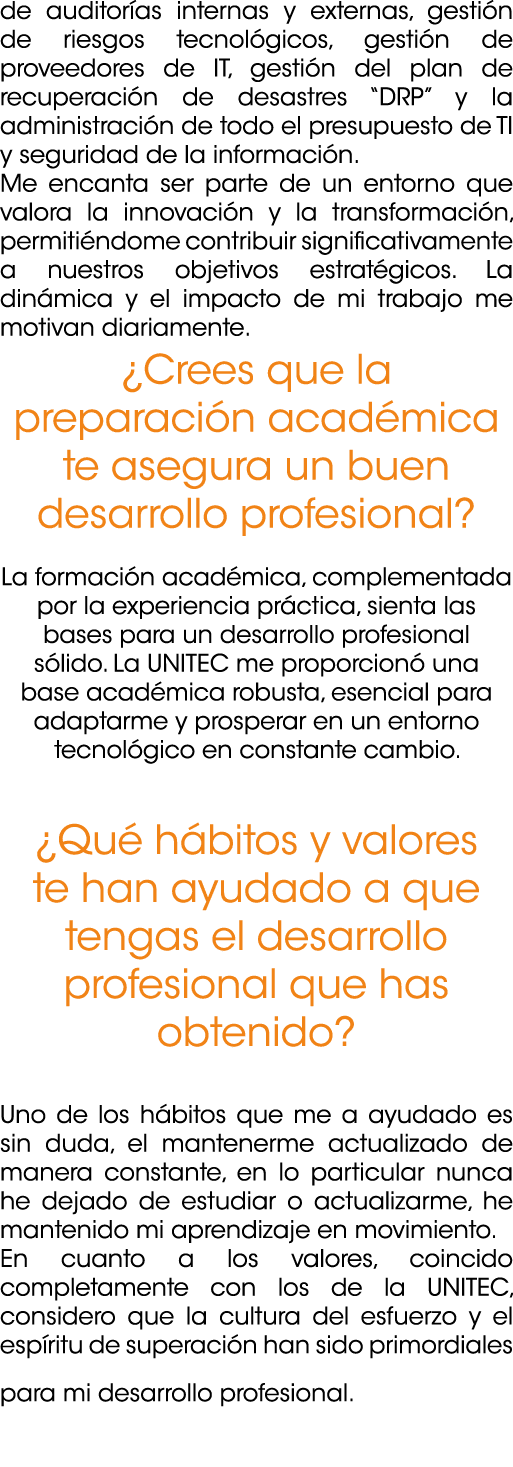 de auditor as internas y externas, gesti n de riesgos tecnol gicos, gesti n de proveedores de IT, gesti n del plan de...