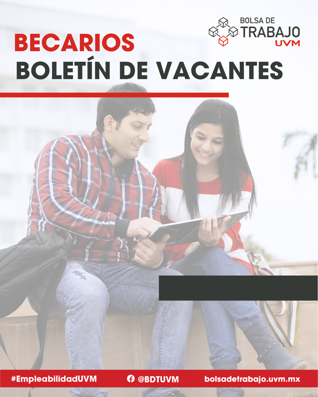 Libro Becarios