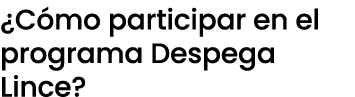 ¿C mo participar en el programa Despega Lince?