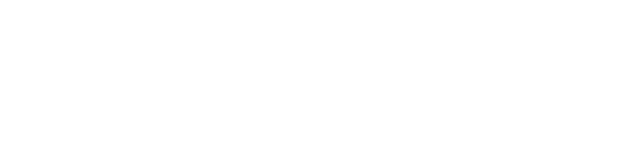 RECONOCIMIENTO LINCE