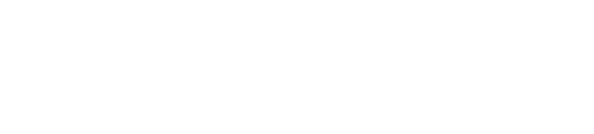 VicePresident del rea de riesgos de cr dito al consumo en Citibanamex Especialidad en Ingenier a Financiera 2008 200...