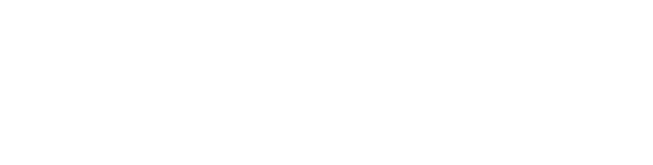 RECONOCIMIENTO LINCE 